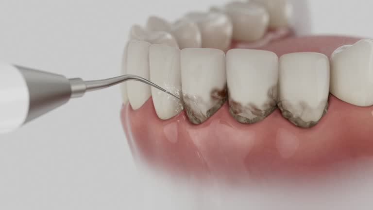 Reliable Dental contractor in Emmitsburg, MD by Dentist Open Now